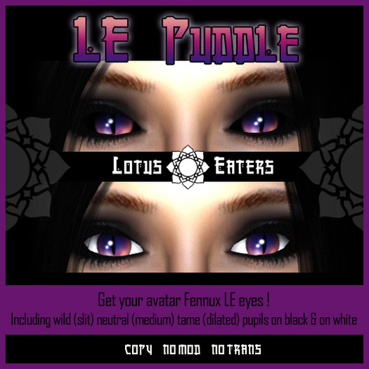 Fennux Fox Puddle Eyes