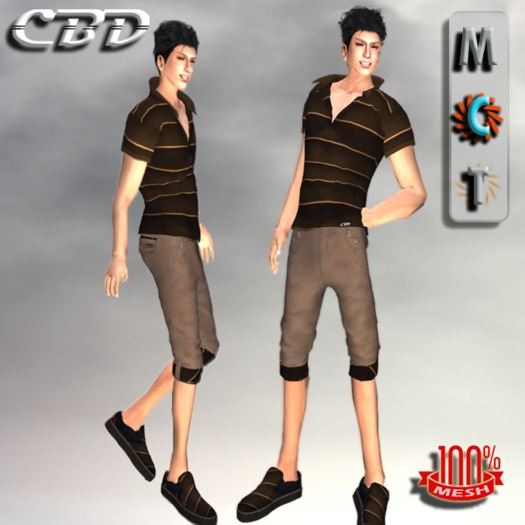 Classic Brown Matching Short & Shirt Set