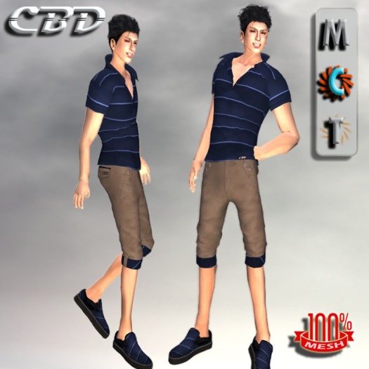 Classic Blue Matching Short & Shirt Set