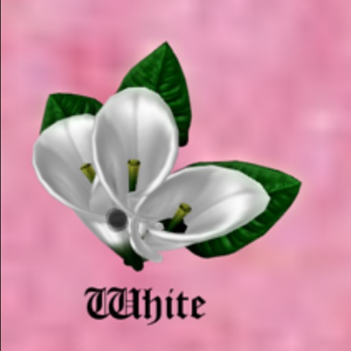 Belly Jewell  (WHITE)