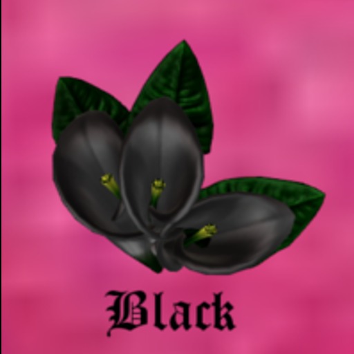 Belly Jewell  (BLACK)