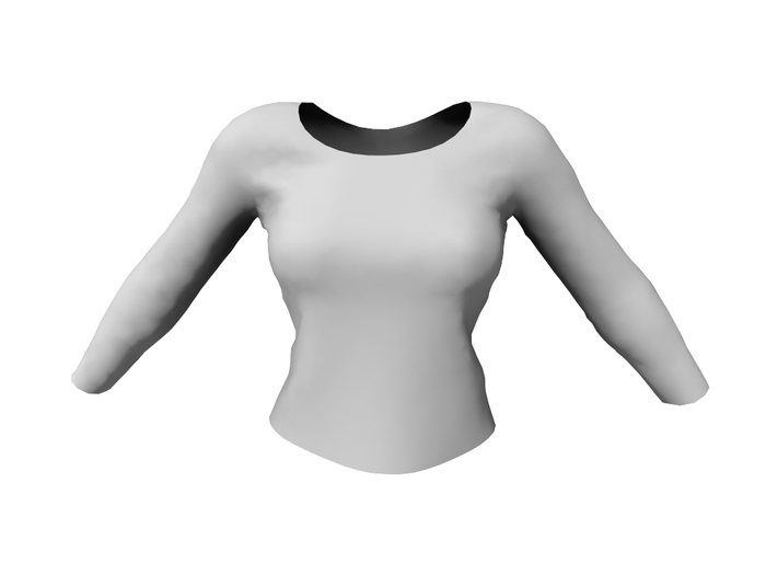 FULL PERM Mesh Women's Casual Longsleeve Top
