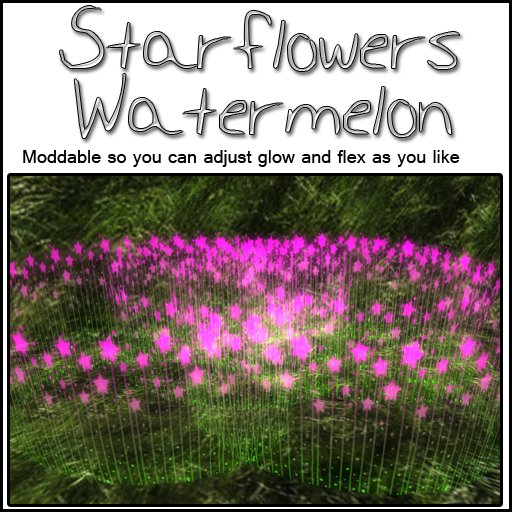 Starflowers - Watermelon 