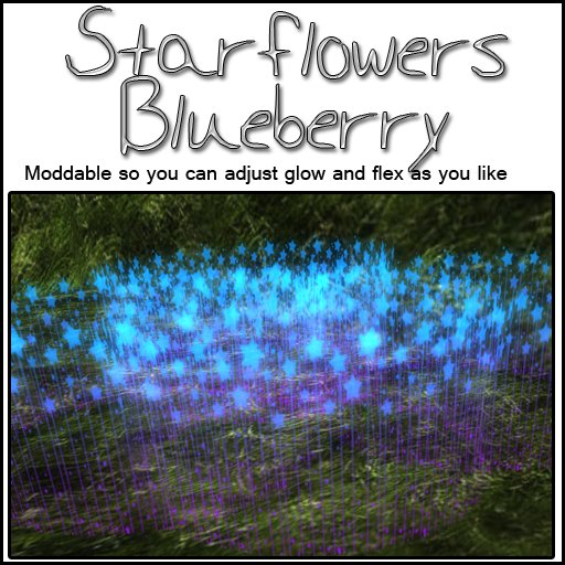 Starflowers - Blueberry 