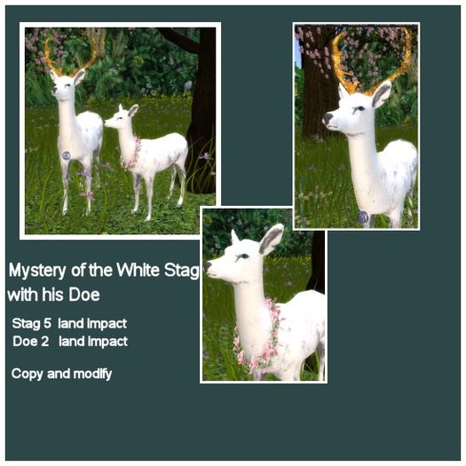 Mythical White Stage and Doe`