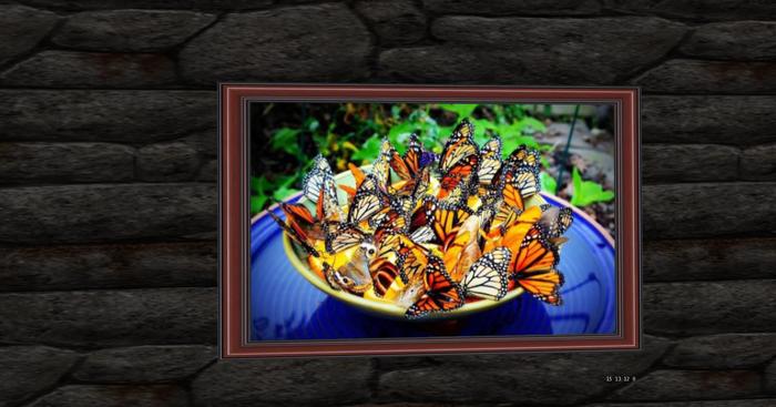 RC Wall art , bowl butterfys