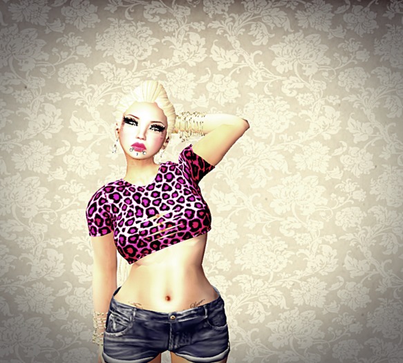 Top Mesh 