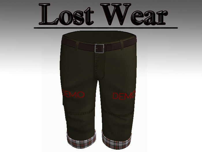 -LW- Cargo Shorts Demo