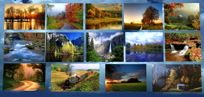 PHOTO - NATURE