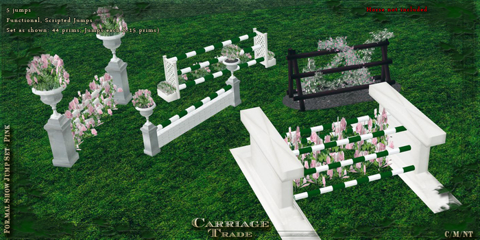@CT@ Formal Show Jump Set (5 Jumps) Boxed 
