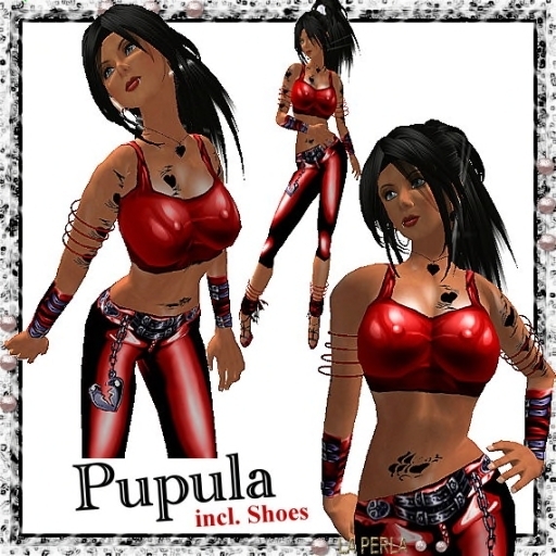 Pupula FGull Perm lp Full Perm