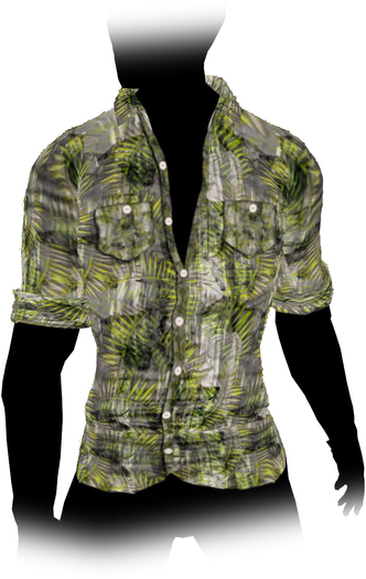 CoLab Jungle Palms 7