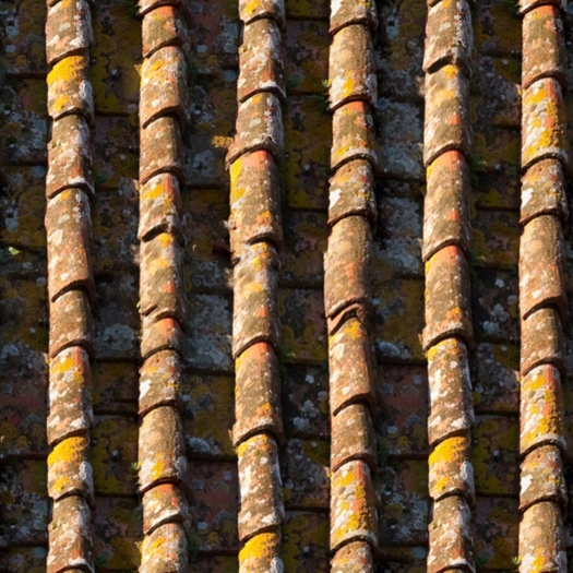 roof tile 5