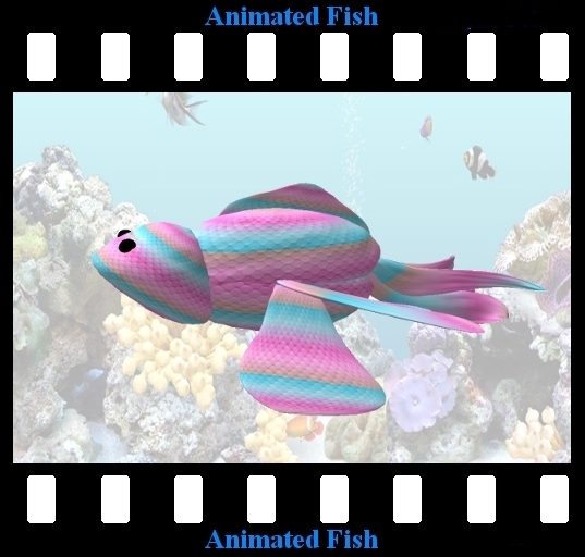 Oasis Rainbow Fish 4