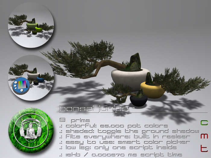 .:buddhabeats:. Bonsai Juniper BOX