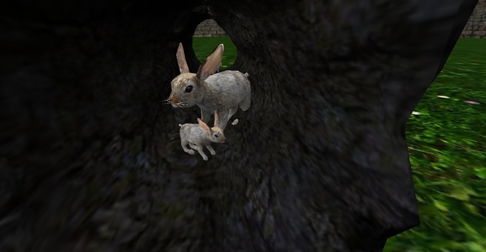 hollow log with Rabbit Hidding inside