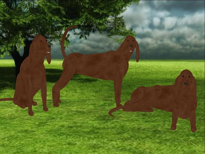 Redbone Coonhound Scripted and Animated Dog