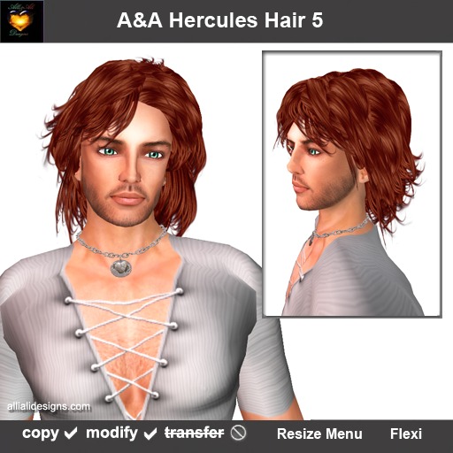 A&A Hercules Hair Flame (Value Pack Color 5).  Wavy mens hairstyle.