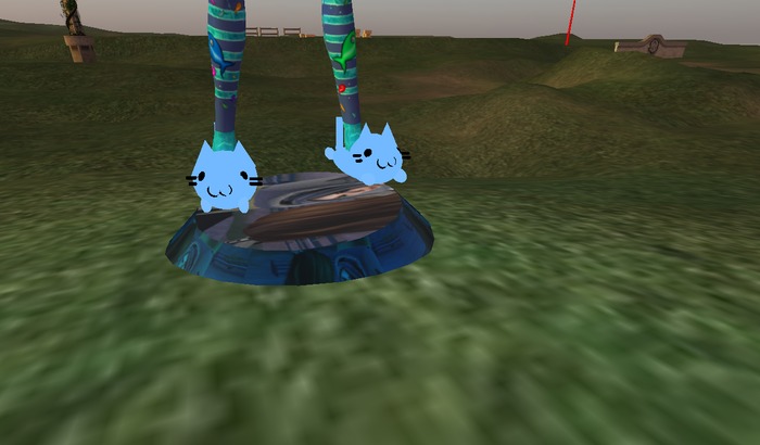 blue kitties slippers