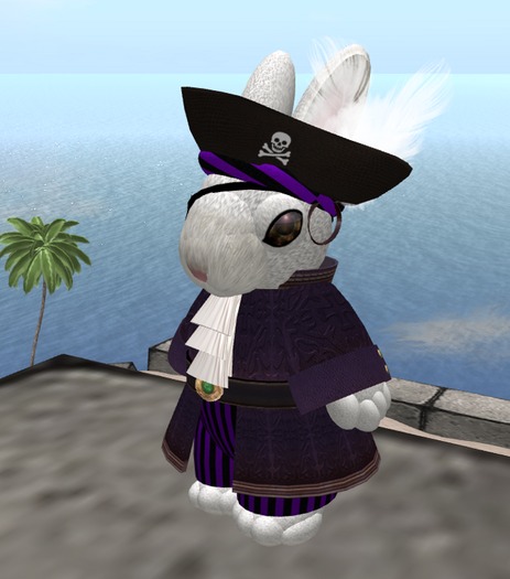 pirate bunny male purple 