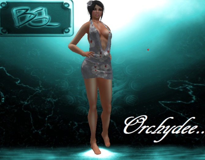 ORCHYDEE...