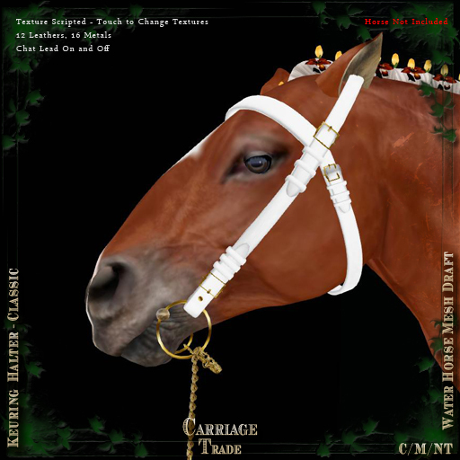 @CT@ Keuring Halter WHM-D (BOXED) 