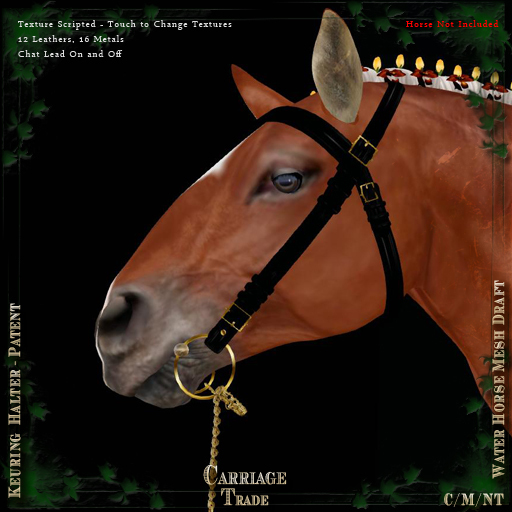 @CT@ Keuring Halter WHM-D (BOXED) 
