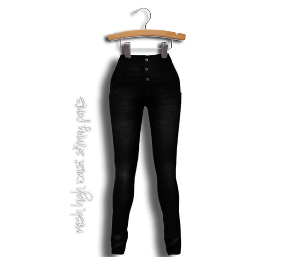 Mesh_High Waist Ladies Skinny Pants  black