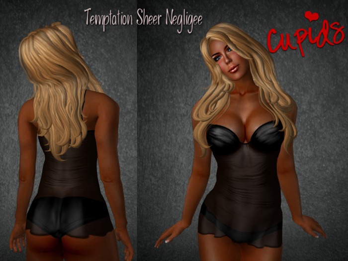 Temptation Sheer Negligee Black