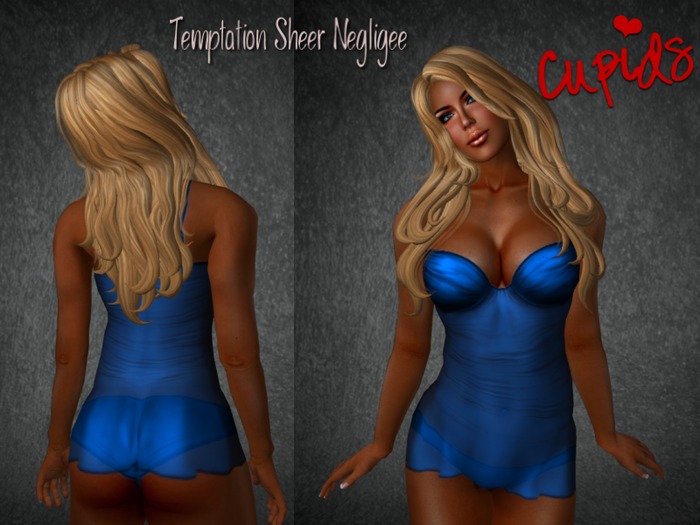 Temptation Sheer Negligee Blue