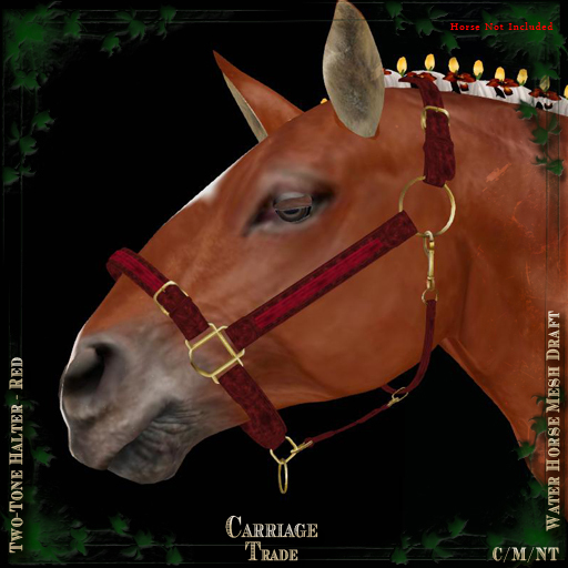@CT@ 2-Tone Halter WHM-Draft (BOXED) 