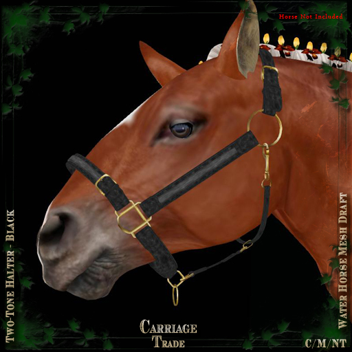 @CT@ 2-Tone Halter WHM-Draft (BOXED) 