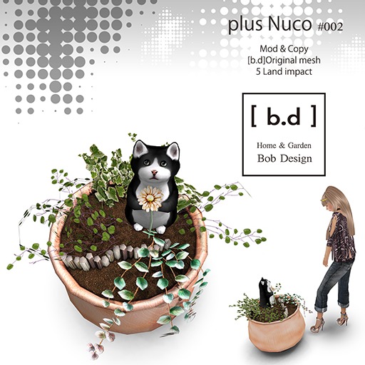 [ b.d ] plus NuCo