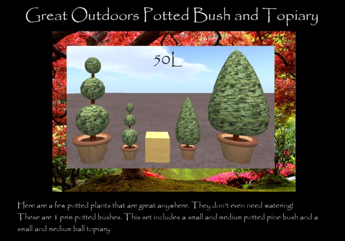 Potted Bushes