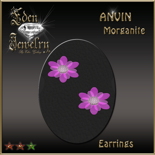 EARRINGD ANVIN MORGANITE