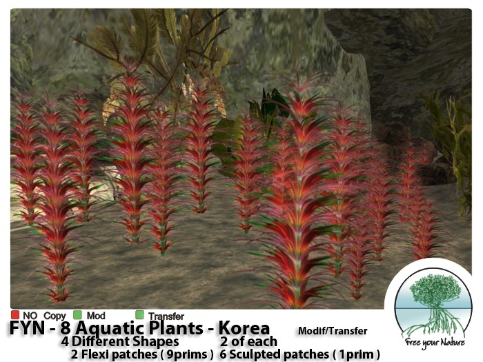 FYN - Aquatic - Korea -