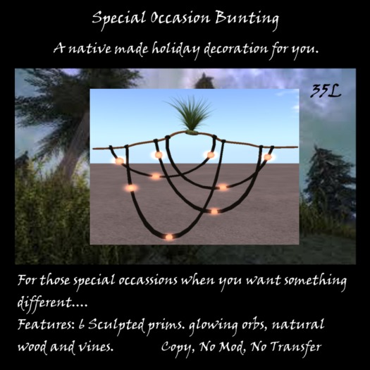 Special Occassion Bunting