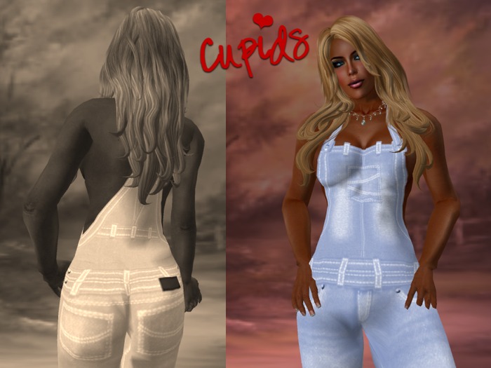 Bib Overalls dust blue