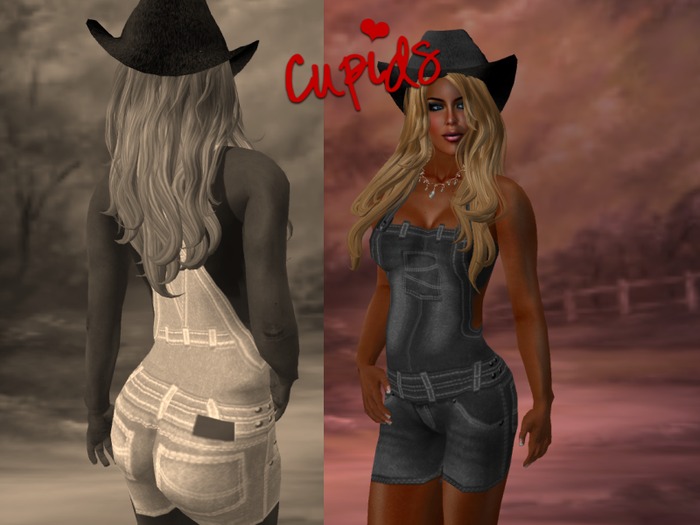 Overall Shorts Black