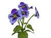 Blue 1