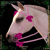 @CT@ Bow Bridle WHM-L BOXED Pinks