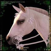 @CT@ Bow Bridle WHM-L BOXED Patents