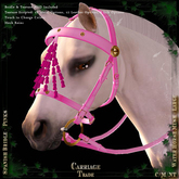 @CT@ Spanish Bridle WHM-L BOXED