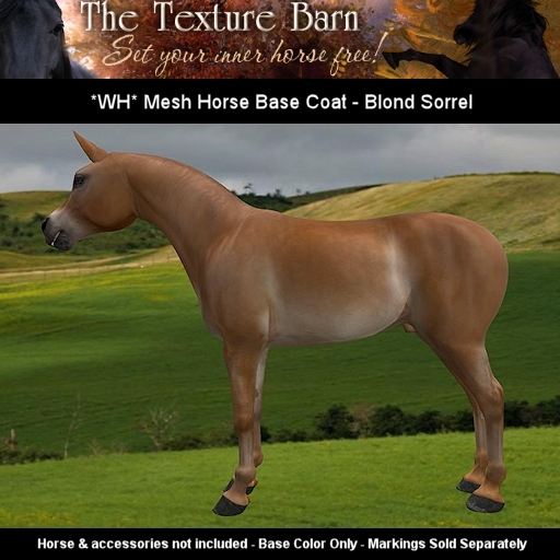 The Texture Barn - Blond Sorrel - for WH Mesh Horse Avatar