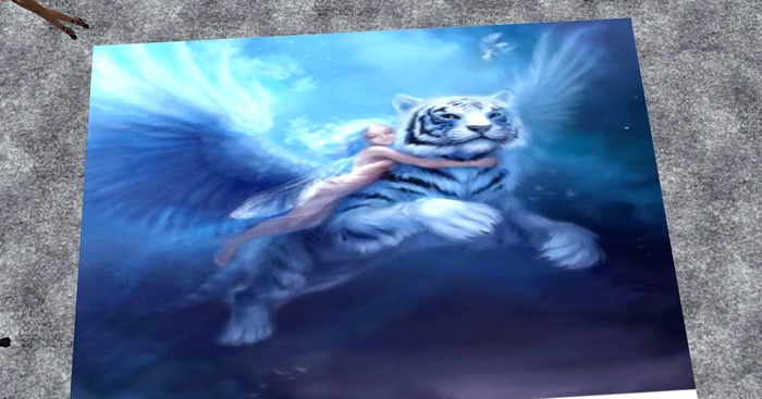 Texture changing Fairy rug