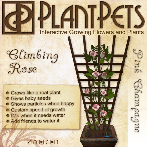 PlantPet Seed [Climbing Rose *Pink Champagne*]