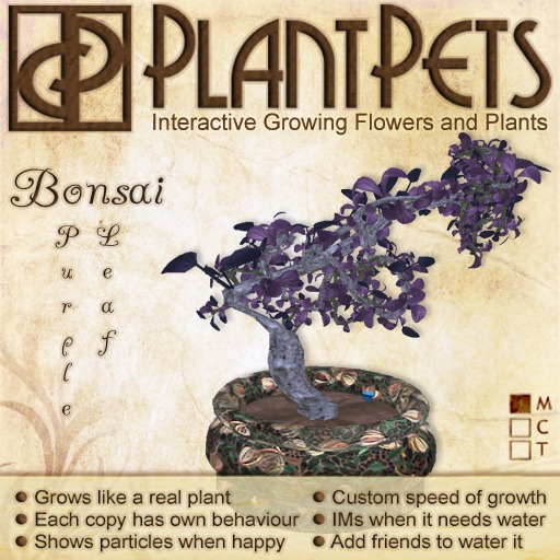 PlantPet Seed [Bonsai *Purple Leaf*]