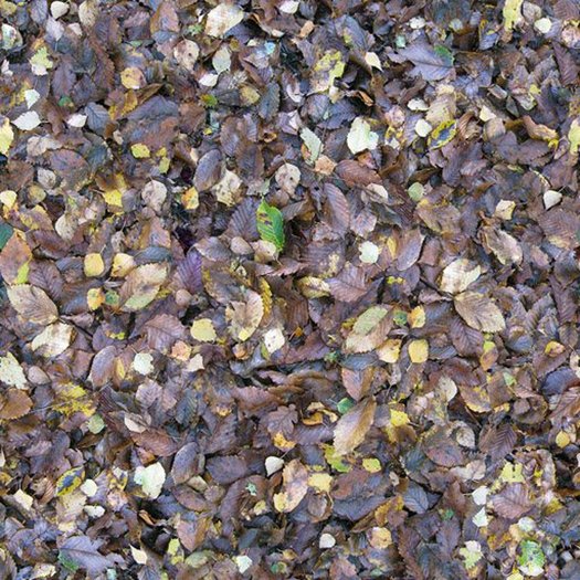 ground texture 31