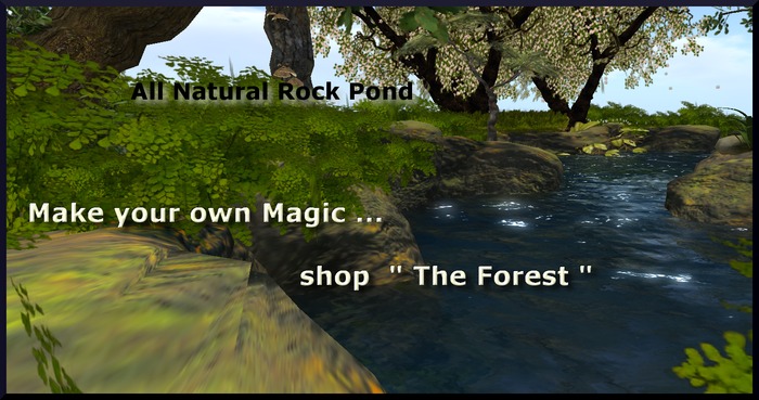 All Natural Rock Pond*