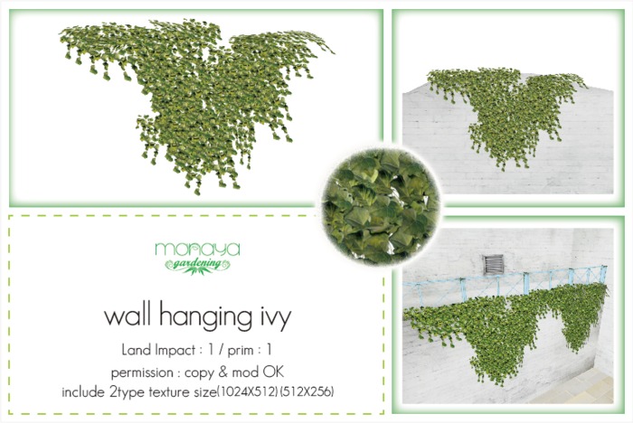 [monaya G] wall hanging ivy